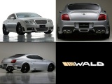 WALD CONTINENTAL GT ѥѡ GT åȡ ʥ᡼