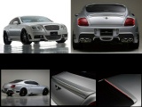 WALD CONTINENTAL GT ѥѡ GT ե륻åȡ ʥ᡼