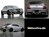 WALD CONTINENTAL GTC ѥѡ GT åȡ ʥ᡼