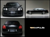 WALD CONTINENTAL FLYING SPUR ѥѡ إե饤󥰥ѡ åȡ ʥ᡼