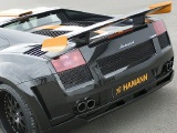 LAMBORGHINI ܥ륮  ѥѡ إܥ륮 560 Heckfluegel-VICTORY ʥ᡼