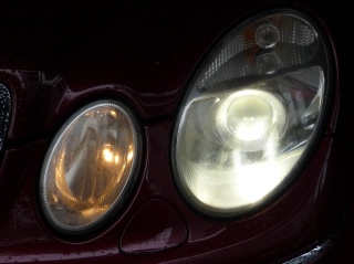 BMW  ѥѡ BREX STICK WEDGE BULB 奤᡼