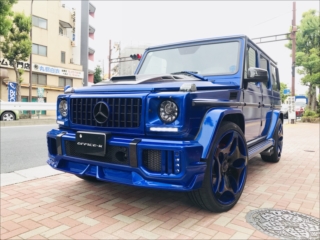 Mercedes-Benz G class W463 用パーツ／グリル W463 Gクラス パナメ