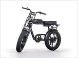 FLOW FLOW E-Bike (M1/M2)